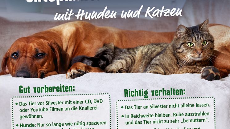 7 Tipps für eine entspannte Sylvesternacht