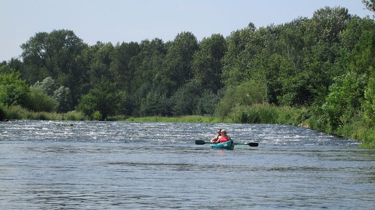 Die Tour auf der Spree ist etwas für Naturfans. Foto: www.spreewald.de