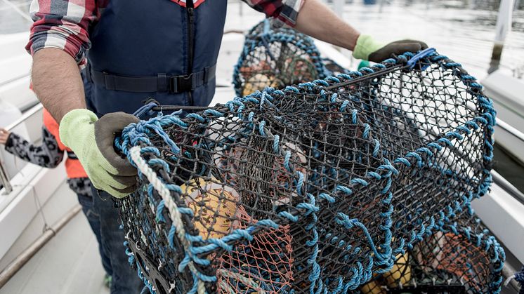1000-tals fritidsfiskare förbereder sig under helgen inför måndagens premiär.