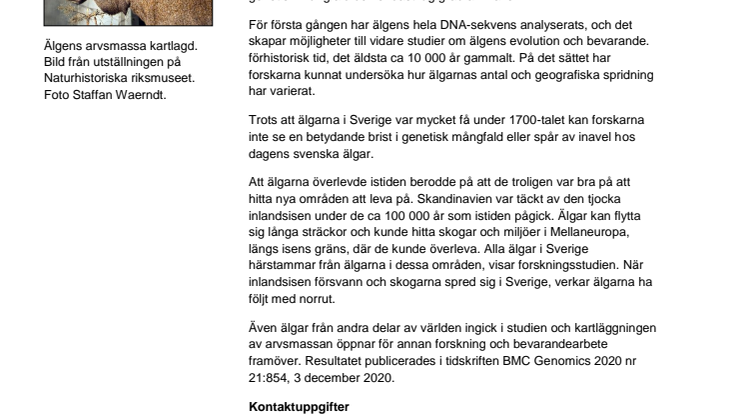 Älgens arvsmassa kartlagd