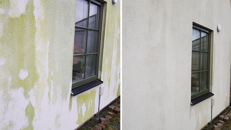 Rengöringsmedel för hela din trädgården!