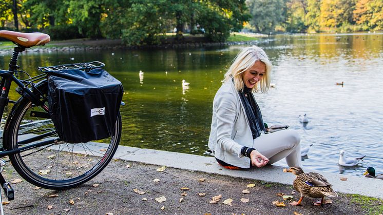 Regnskydd till cykelkorg, Bike sm Art