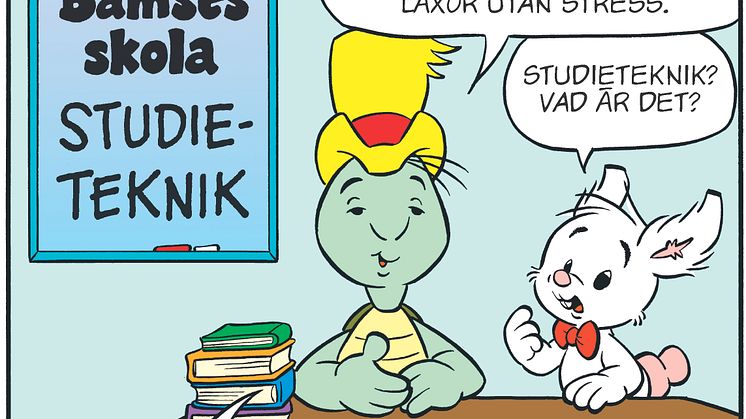 skola_studie.jpg