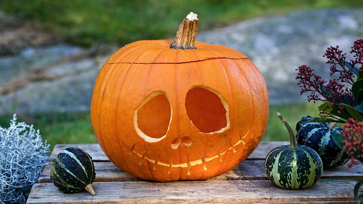 Pumpa_Halloween