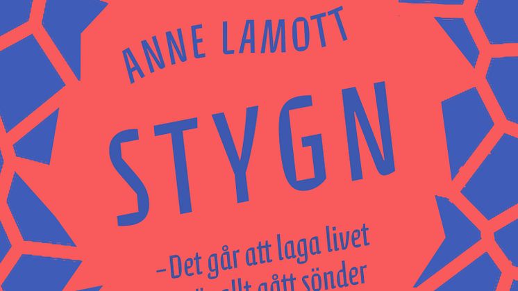 Stygn bokomslag