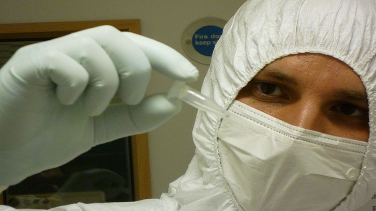 Linus Girdland-Flink arbetar i laboratoriet. Personalen använder ansiktsmask, dubbla lager laboratoriehandskar och överdragskläder för att minska risken att introducera kontaminerande DNA till det som analyseras. Foto: Karolyn Shindler