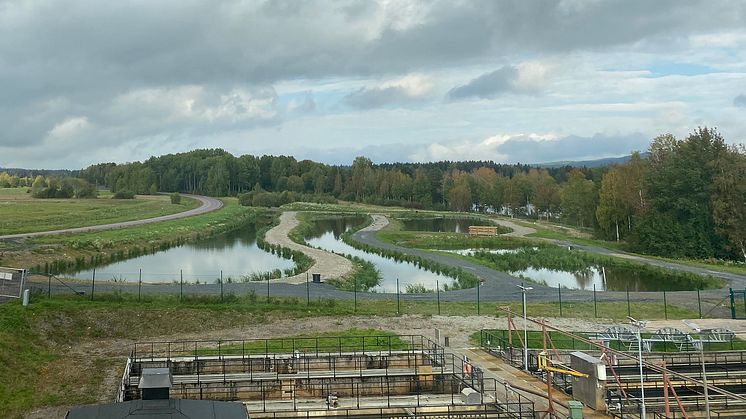 WBAB i Smedjebacken har anlagt en vattenpark som ska rena avloppsvatten i ett extra steg efter reningsverket. (Foto: WBAB)