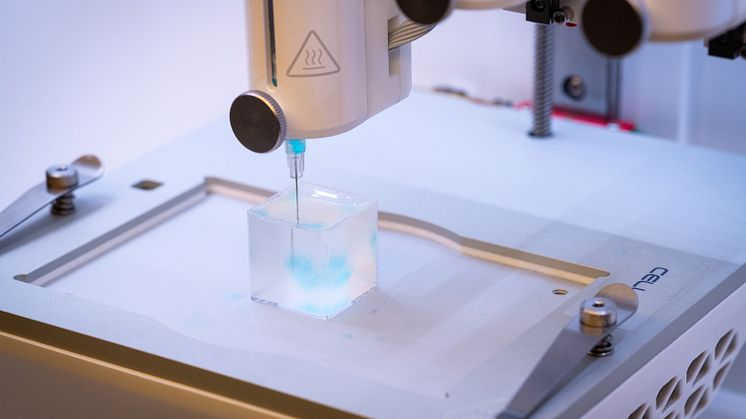 Biobläcket består bland annat av hyaluronansyra och syntetiska protein-liknande molekyler, så kallade peptider. Dessa binds ihop till ett vattenrikt nätverk, en hydrogel, som fungerar som ett stödmaterial för cellerna. Foto Magnus Johansson