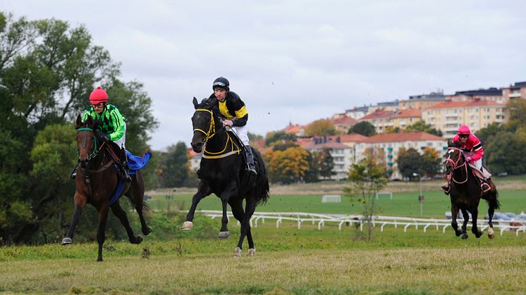 Galoppbanan på Djurgården provreds