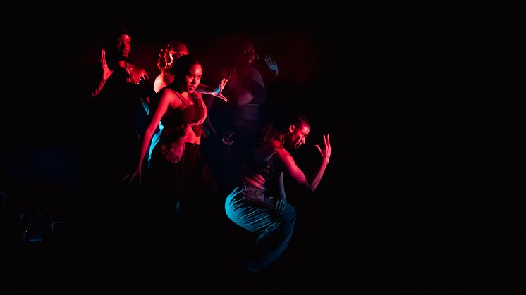 Company Nicolas Huchard - The barefoot diva
