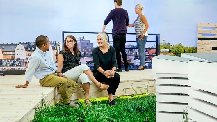 Pressinbjudan: Svenska naturarter och biologisk mångfald på takpark i Stockholm city