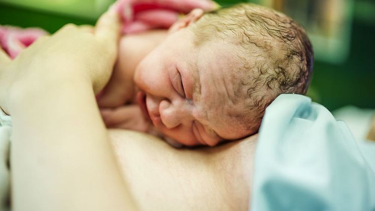 14247287-baby-girl-few-minutes-after-the-birth_MND