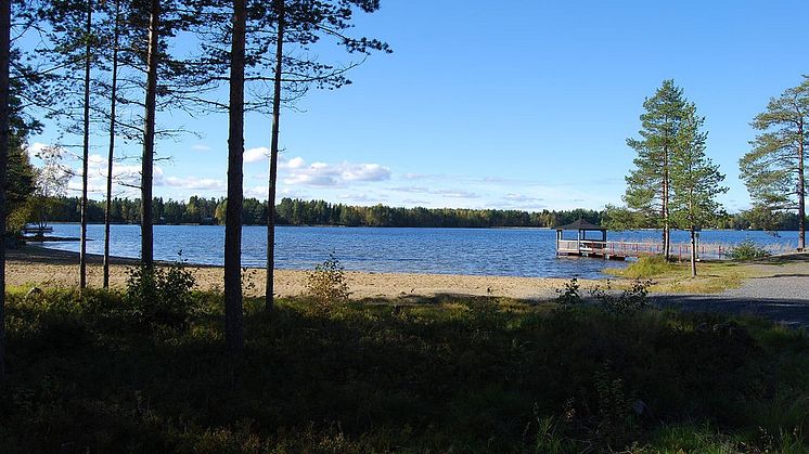 Kärleksudden, which means love peninsula, where the Local Democracy Academy´s BBQ will be held. Photo: Dag Lindgren (CC BY-SA 3.0). 