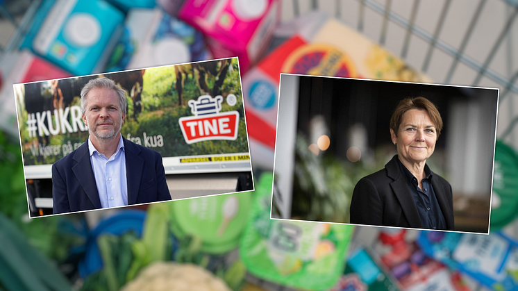Endringer i TINEs konsernledelse