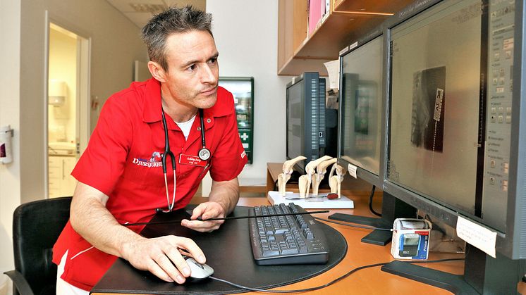 Veterinär Ashley Jury - Väsby Djursjukhus 
