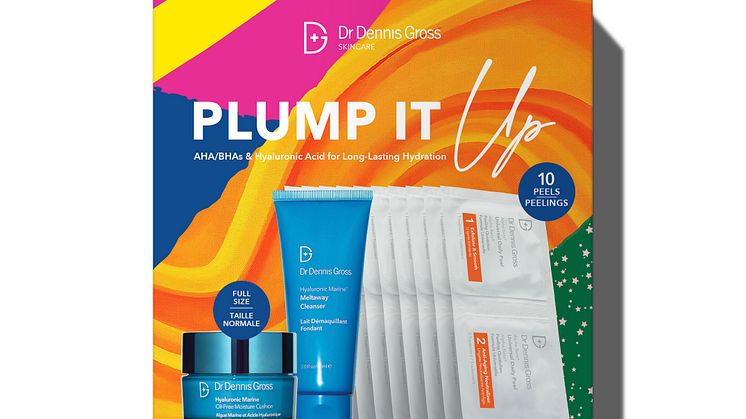 Dr Dennis Gross Plump it up Hyaluronic Christmas Kit