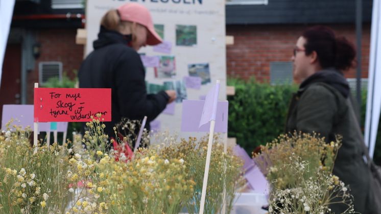 Veien videre for Tokerudparken 