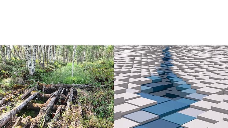 Lidbergs dike i Baksjöliden grävdes av William Lidbergs pappas farfar. Till vänster syns diket så som det ser ut i dag och till höger visar de blå rutorna diket så som det representeras i de nya digitala dikeskartorna. Illustration: William Lidberg