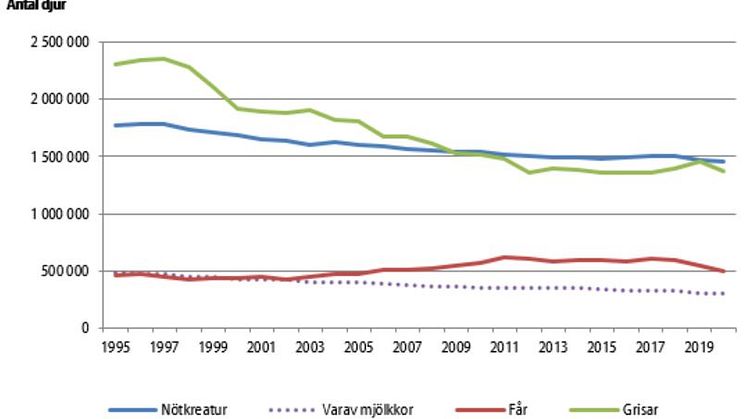 ​Antalet företag med lantbruksdjur har minskat mellan juni 2016 och juni 2020. Antalet företag med mjölkkor har minskat med 20 procent mellan 2016 och 2020 vilket motsvarar nästan 800 jordbruk. 