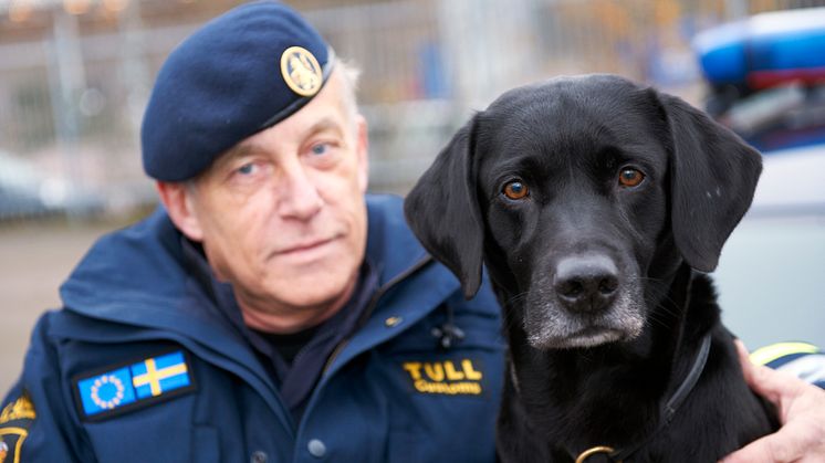 Årets narkotikasökhund - Jeff