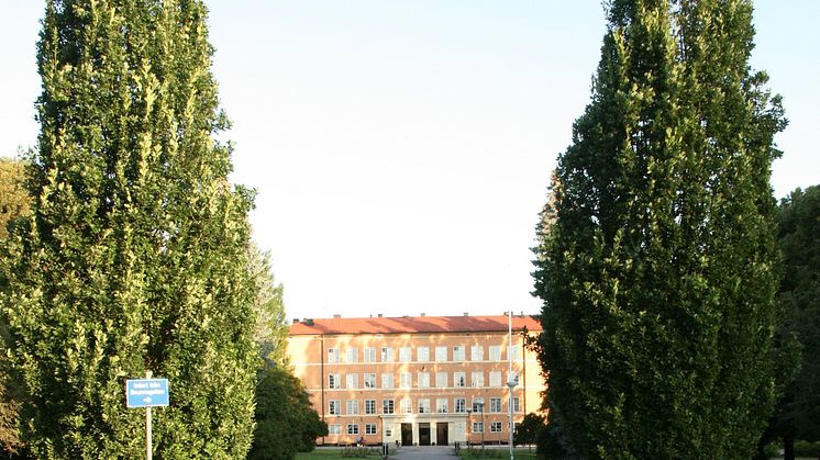 Engelska skolan i Linköping