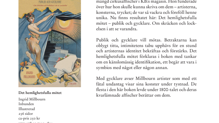 Ny bok: Det hemlighetsfulla mötet