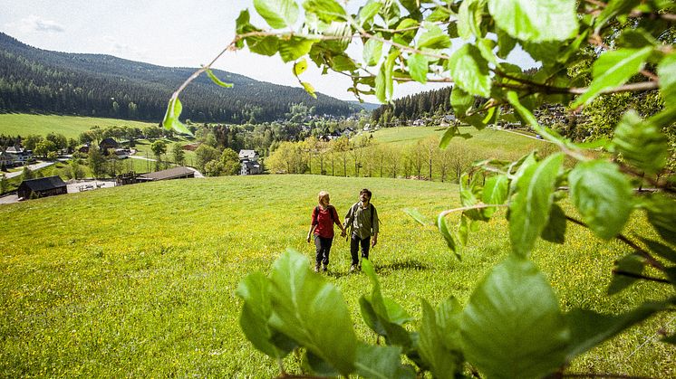 Kammweg Rittersgrün_Foto TVE_Rene Gaens.jpg