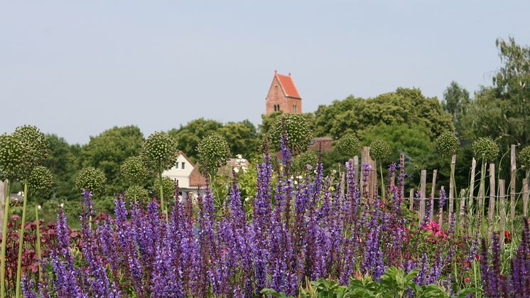 Bald öffnen die Gärten im ganzen Land wie beispielsweise hier in der Uckermark (Foto: Rosenschule Uckermark)