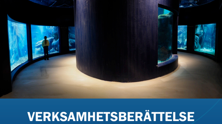 Verksamhetsberättelse och årsredovisning för år 2021