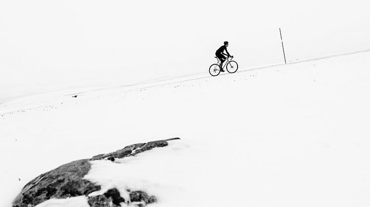 Foto: Jered Gruber