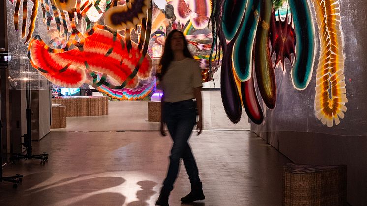 Utstillingsbilde / Exhibition photo