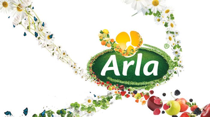 Arla Ingmanin konttorissa kuhisee taas