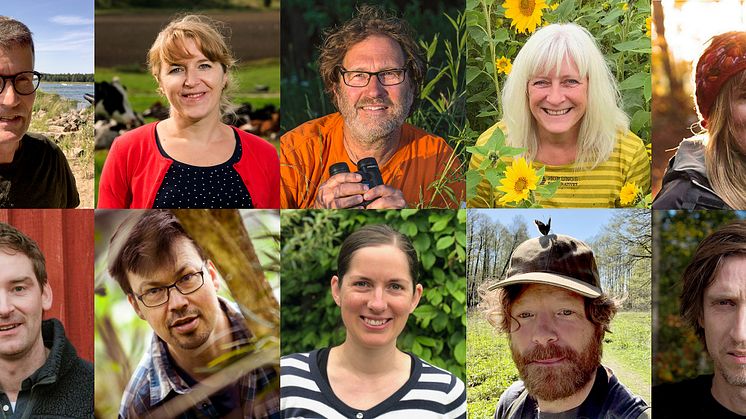 Isak Isaksson, Helena Allard, Ola Jennersten, Marie Backman, Moa Pettersson, Ola Lundin, Lars Pettersson, Maj Rundlöf, Erik Hansson och Niklas Johansson är jury för Årets Pollinatör 2021.