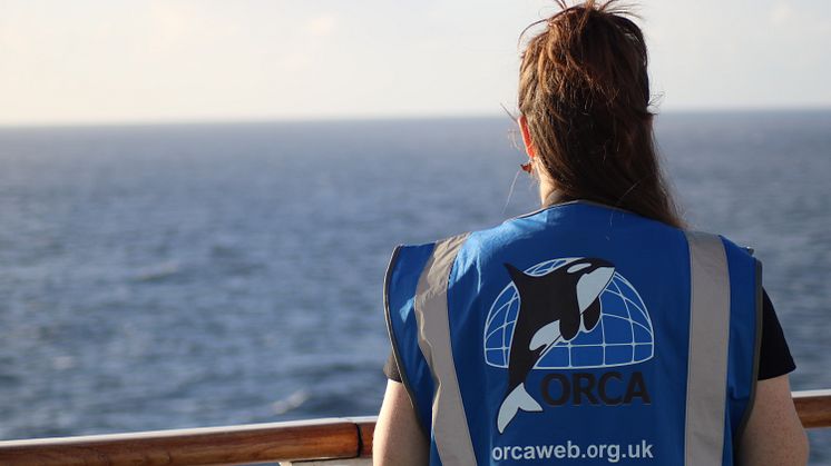 Marine wildlife charity ORCA to join Fred. Olsen Cruise Lines for Welcome Back ‘no port’ scenic sailings this summer