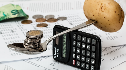 Vi upphandlar nu aktörer som kan stötta svenska småskaliga företag i att finna finansieringsmöjligheter och att bli mer ekonomiskt hållbara. Stödinsatserna ska skräddarsys för att passa det enskilda företaget. Foto: Pixabay