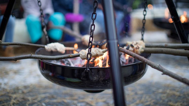 Gratis bålmatkurs med Geitmyra - FOTO Ringsaker kommune.jpg
