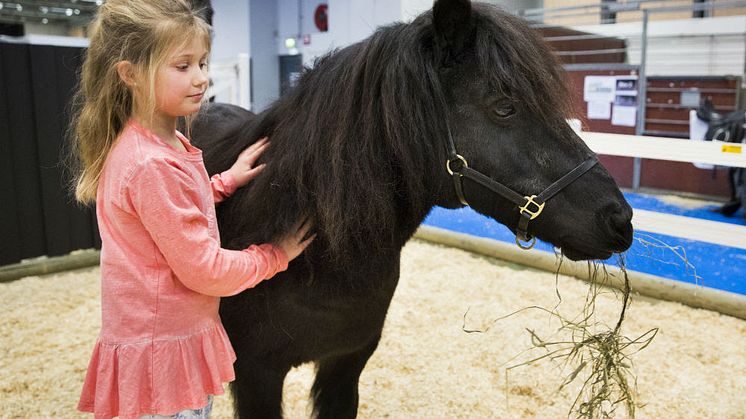 Dags för årets hästfest i Göteborg – EuroHorse