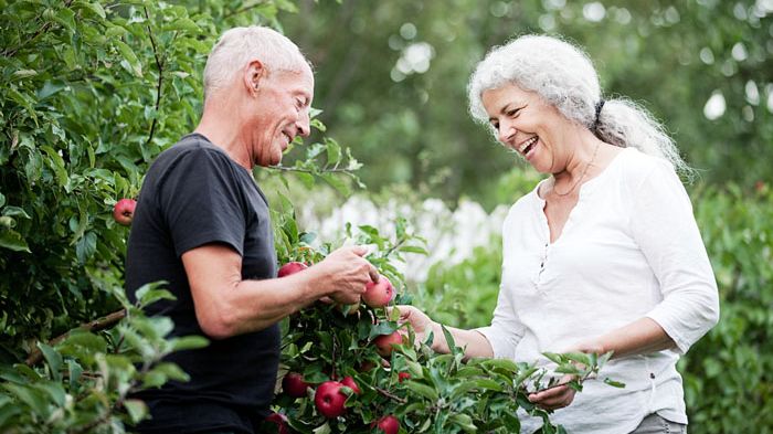 Fra arbejdsliv til pensionsliv: Tre medlemmers erfaringer