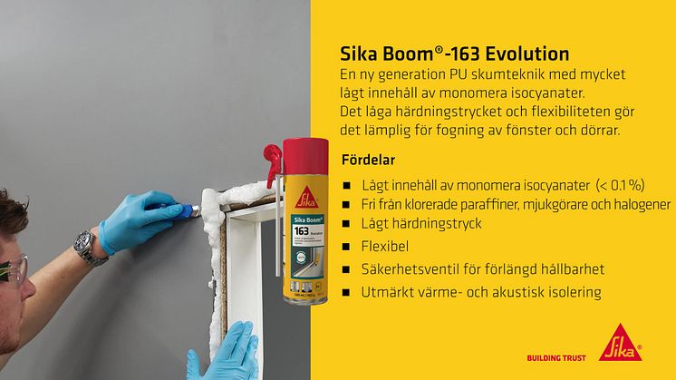Sika Boom-163 Evolution