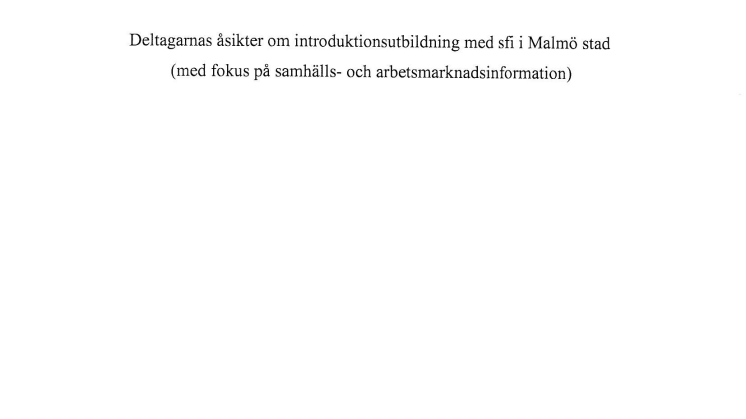 Sfi-elever i Malmö uppskattar sin utbildning