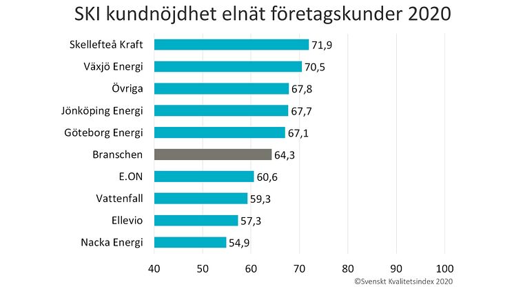 SKI elnat foretag 2020.jpg
