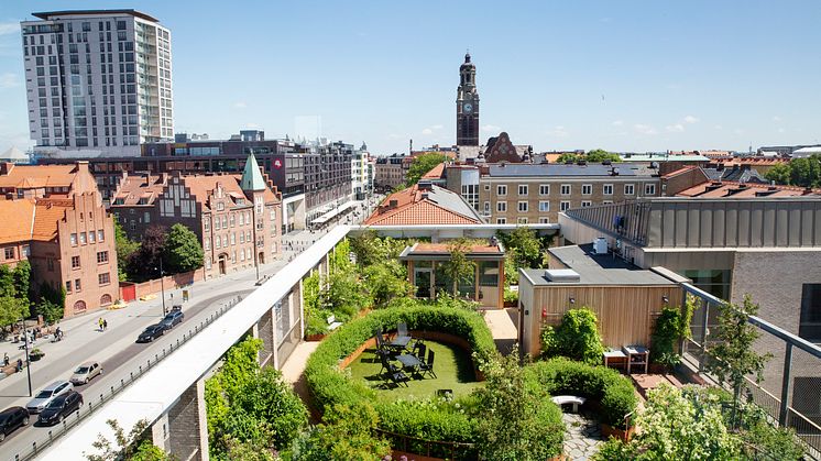 Takträdgården till minnesmottagningen i Priorn