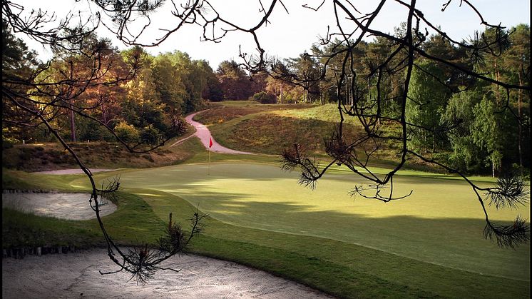 3 SRG VEST 6 Lille Bjørn b - Silkeborg Ry Golfklub