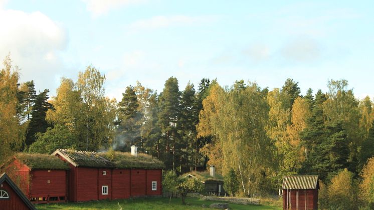Höst på Vallby friluftsmuseum