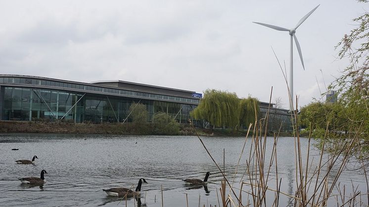 50 olika fågelarter stortrivs vid Fords motorfabrik i Dagenham.