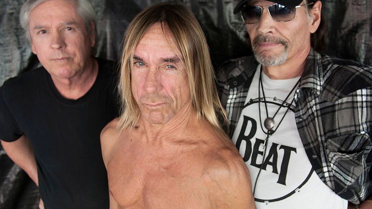 Iggy & The Stooges till Grönan