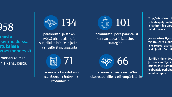 MSC_IMPROVEMENTS_FI.png