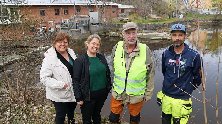 Anneli van Roijen, Sofia Stengavel, Tommy Gustavsson och Stefan Kläppe vid Bäveån i Uddevalla, där den nya fiskräknaren installerats.