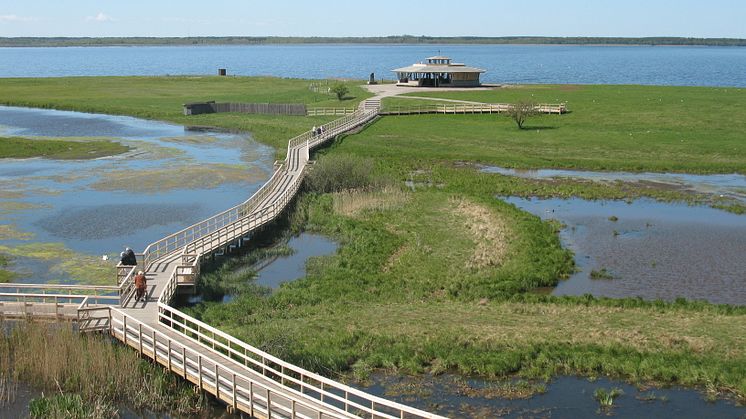 Fågeludden, Hornborgasjön