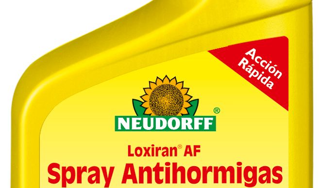 4005240175965_Loxiran AF Spray Antihormigas_750ml_2012